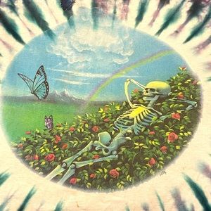 Rare 94 Jerry Garcia Band/Grateful Dead tour shirt !Offers??